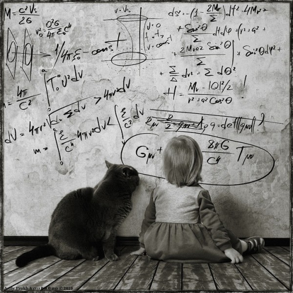 Andy Prokh - a girl and her cat - twenty words